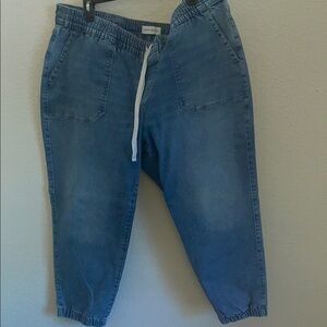 Lane Bryant Blue Denim Jogger Pants